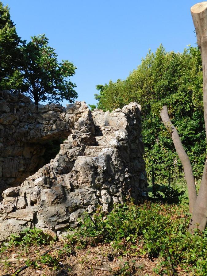 Appartamento Con Piscina Immersa Nel Verde Cascina Luaran gambar