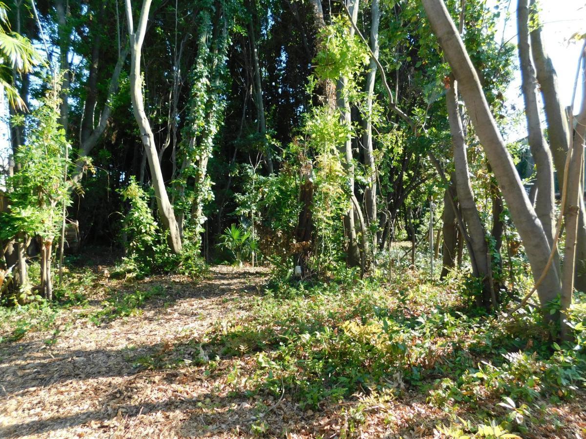 Appartamento Con Piscina Immersa Nel Verde Cascina Luaran gambar