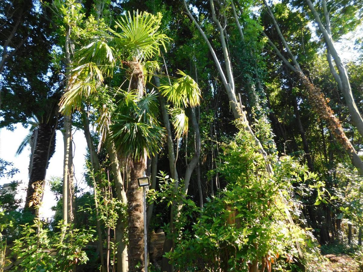 Appartamento Con Piscina Immersa Nel Verde Cascina Luaran gambar